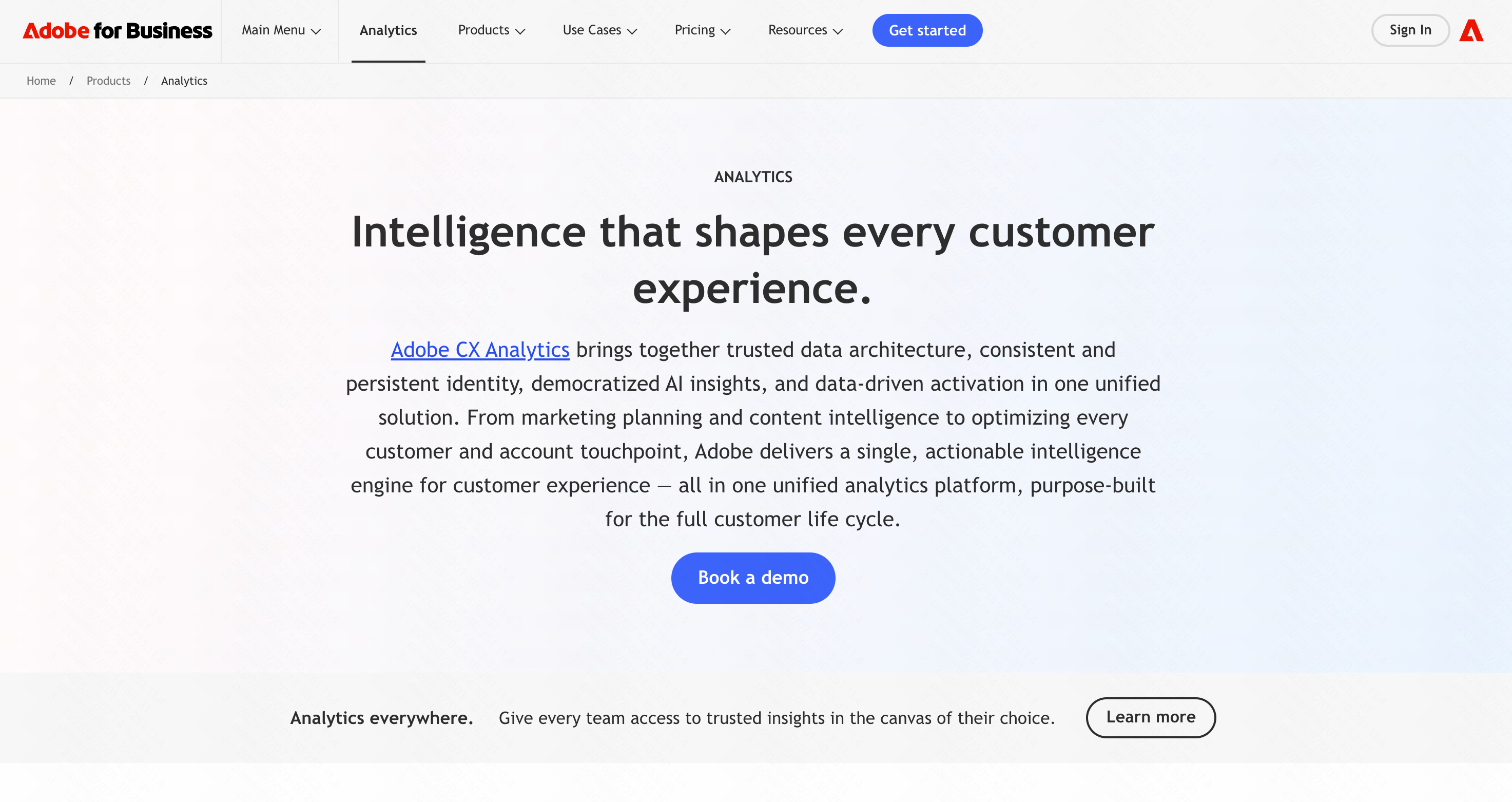 Adobe Analytics enterprise dashboard with algorithmic attribution and multi-channel data