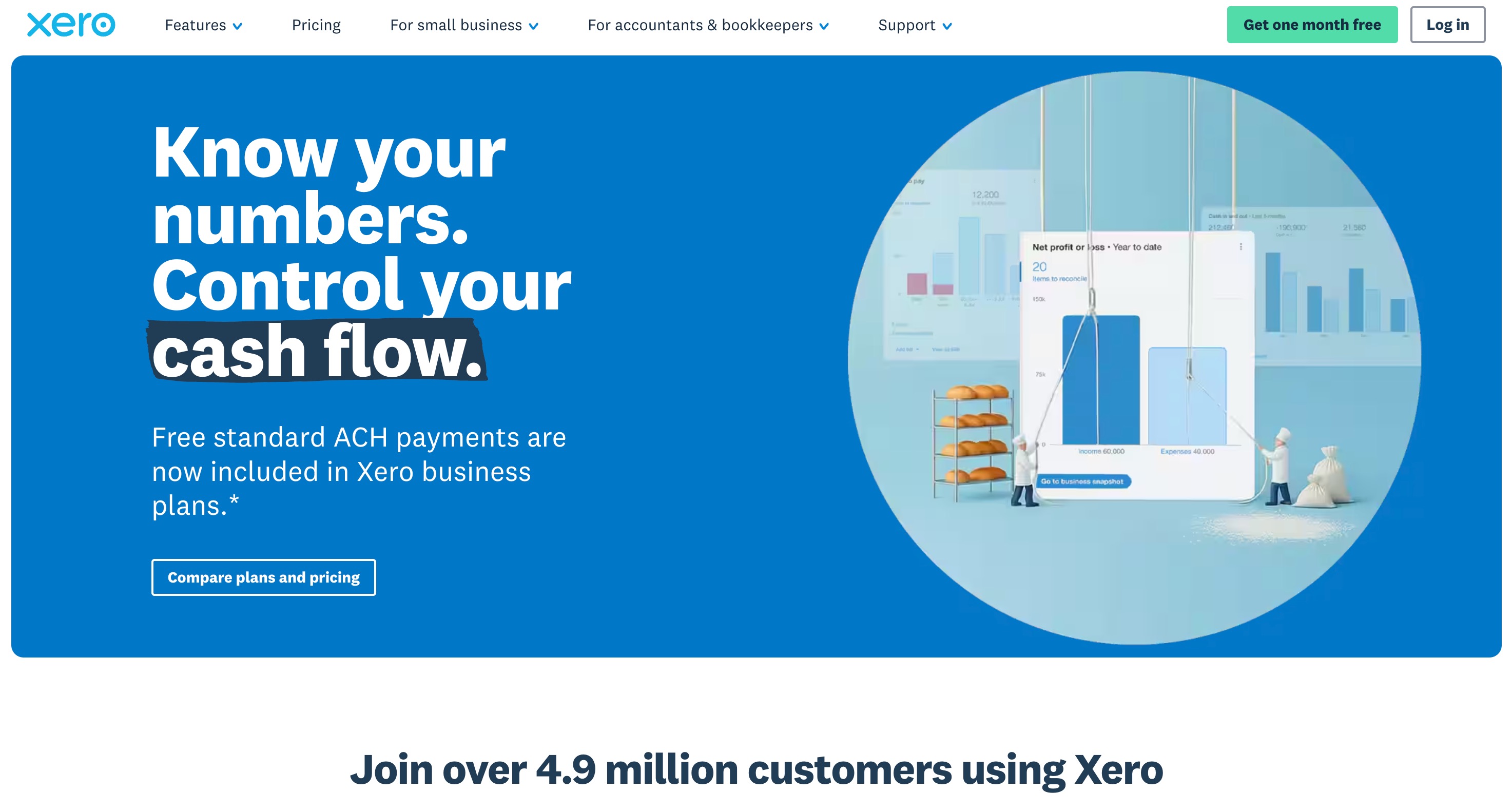 Xero accounting and cash flow projections