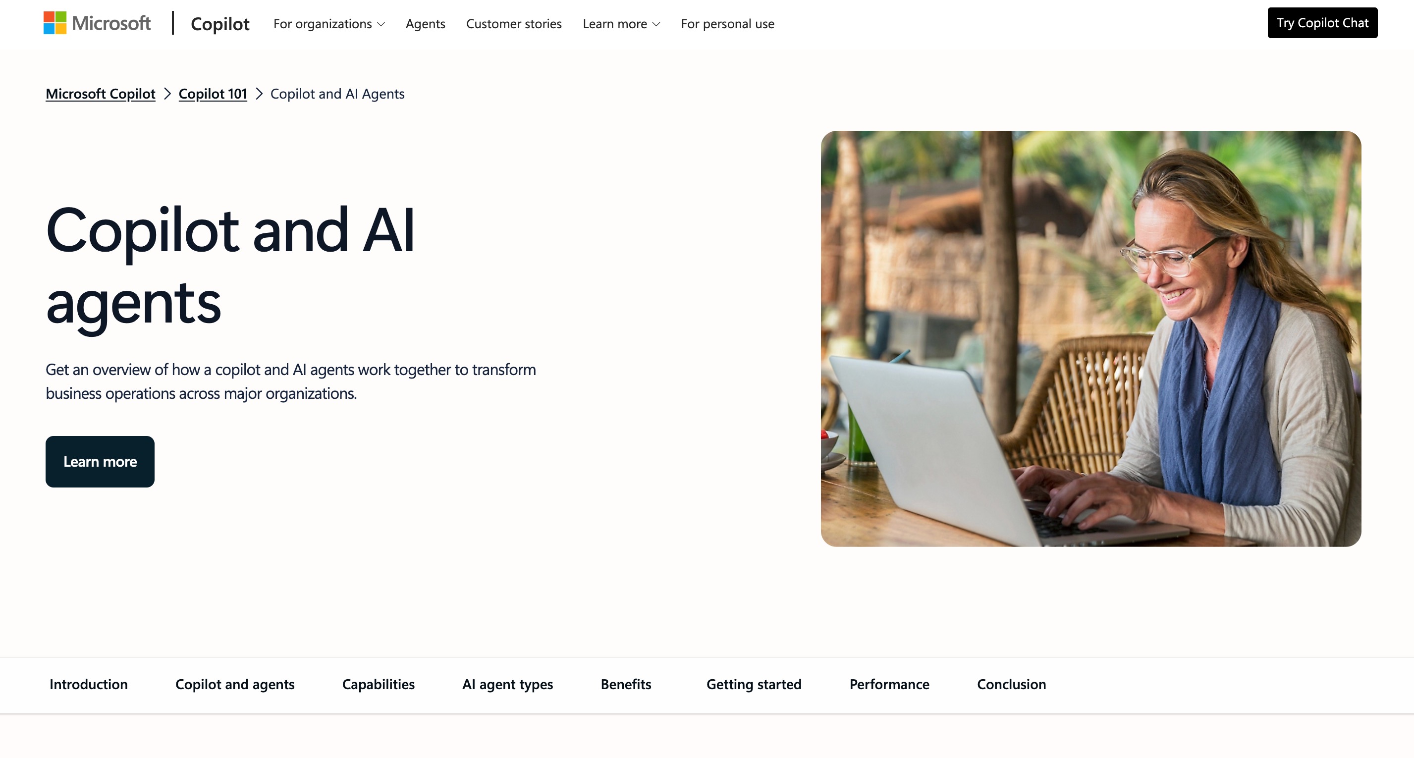 Microsoft Copilot Agents interface