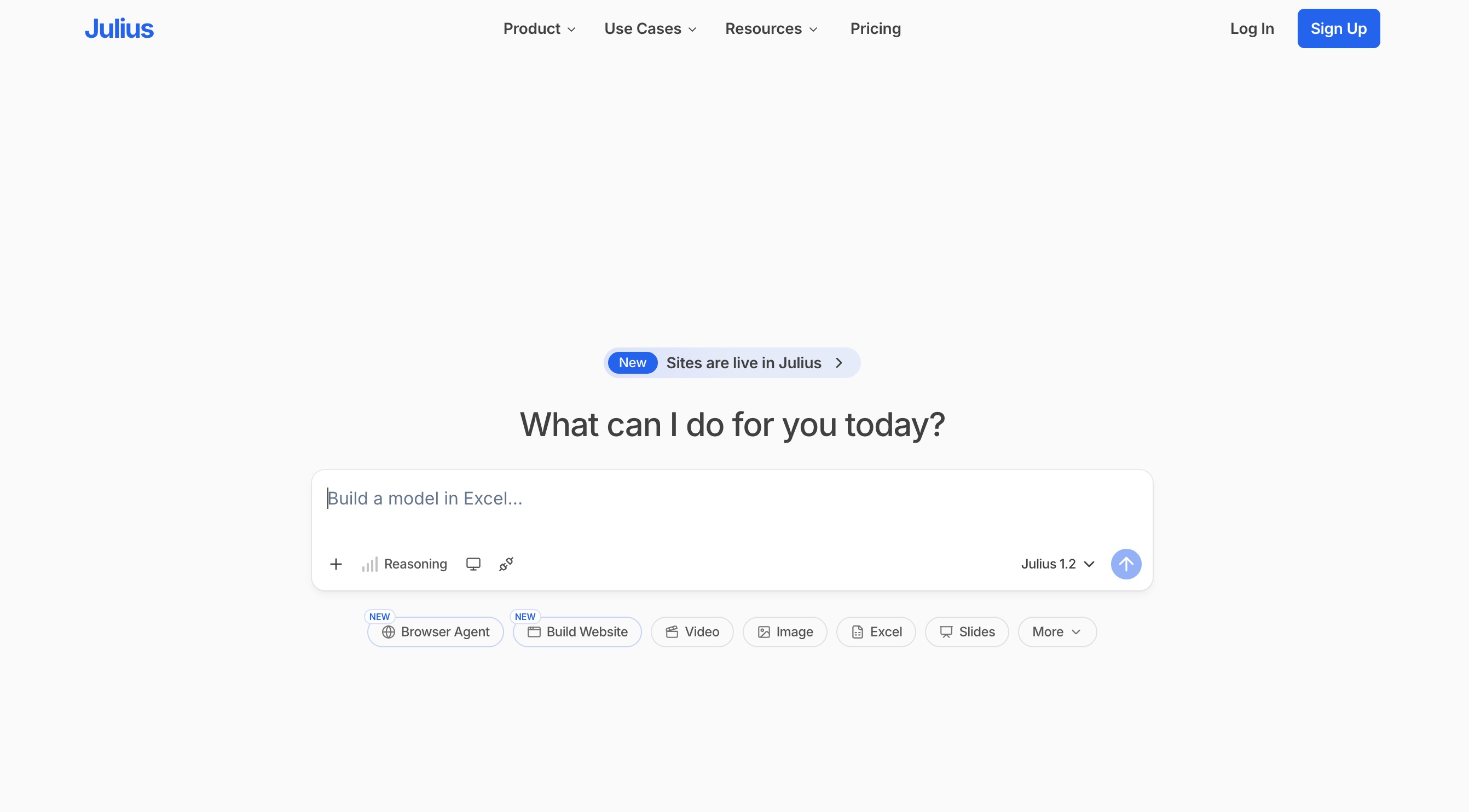 Julius home page asking What can I do for you today, with a prompt box reading Build a model in Excel above shortcut pills for browser agent, website, video, image, Excel and slides